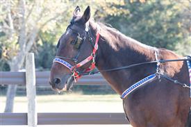 LR-WRF 10182025 Retreat-6369